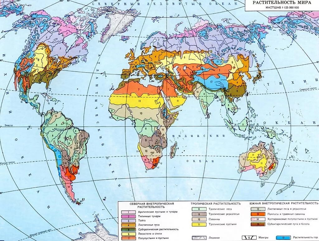 Карта растительности земли. Растительные зоны земли по Вальтеру карта. Растительность природных зон земли биология
