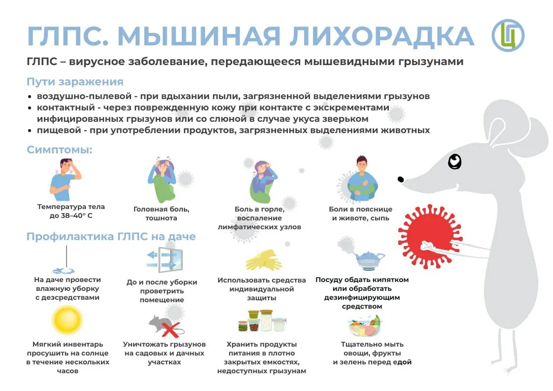 Профилактика геморрагической лихорадки с почечным синдромом ГЛПС. Мышиная лихорадка. Болезнь Мышиная лихорадка. Памятка по профилактике ГЛПС.