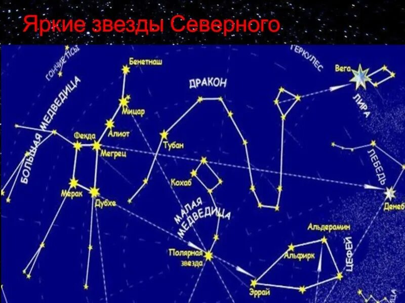 Февраль созвездие. Созвездия летнего неба Северного полушария. Карта звездного неба с названиями созвездий большая Медведица. Самые яркие звезды Северного полушария. Созвездия с яркими звездами.