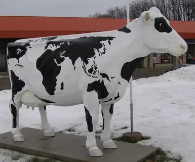 Окрас коровы