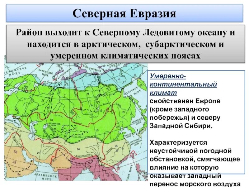 К северной евразии относятся