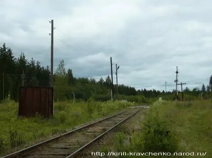 Сараев д п