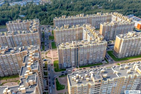 Новое янино 1