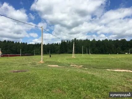 Погода в дулепово шаховского