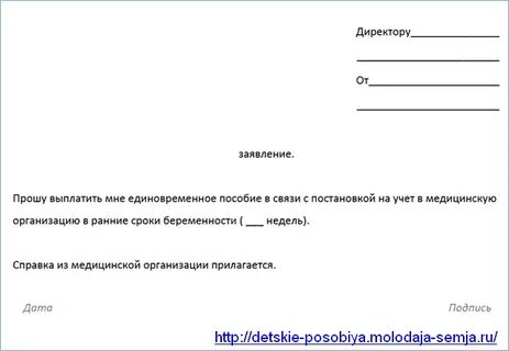 Сколько рассматривается заявления по беременности
