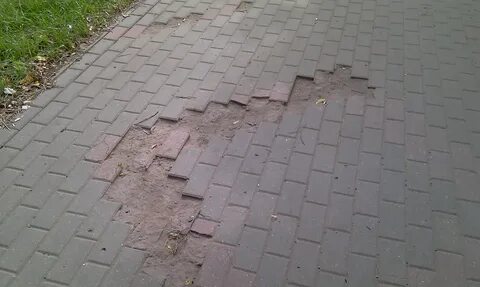 Скол тротуарной плитки
