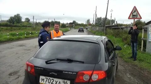 Туринск животные