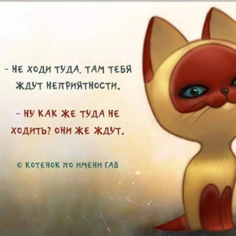 Откуда ты это берешь мем. Ну и где ты. Я был там это было 3000 лет. Картинки ну где же ты лето. Они же ждут.