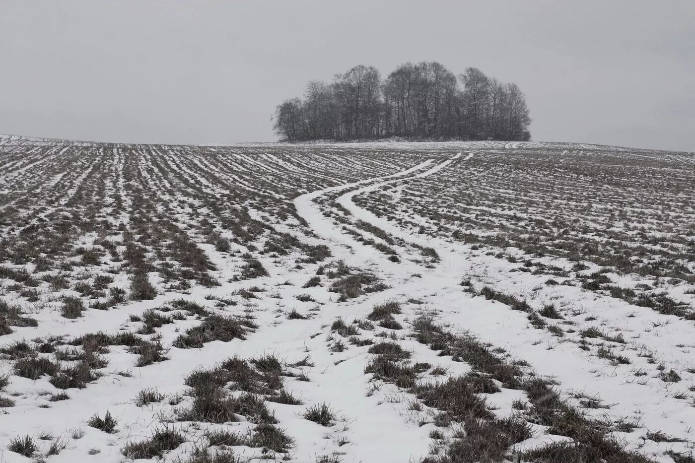 Снежная равнина. Поле зимой. Снежная пороша. Заснеженная дорога. Запорошенное снегом поле.
