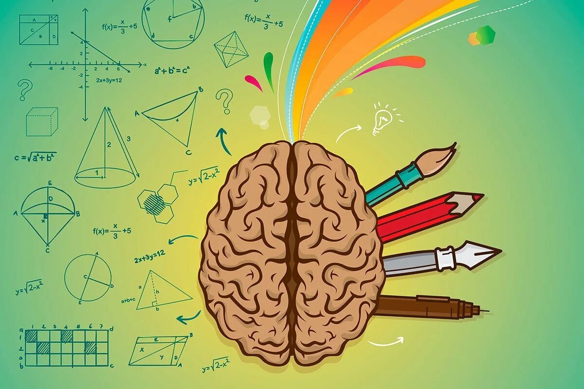Мозг картинки для презентации. Творческий мозг. Мозг нарисованный. Мозг математика. Полушария мозга.
