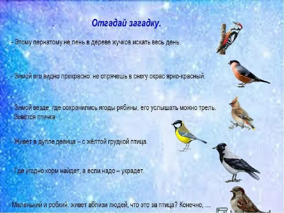 Текст про птиц 5 класс. Загадки произимующих птиц. Загадки про птиц. Зимующие птицы для дошкольников. Загадки про зимующих птиц для дошкольников.