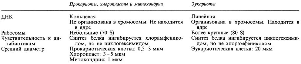 Признаки митохондрий и хлоропластов. Сравнение митохондрий и хлоропластов таблица. Сходство митохондрий и хлоропластов. Сравнительная характеристика митохондрий и хлоропластов. Сходство между митохондриями и хлоропластами.