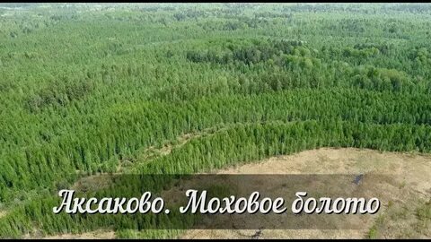 Болото ударение