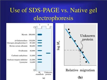 Native page