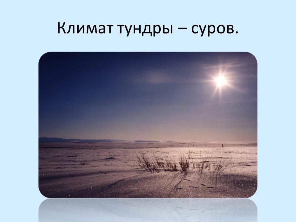 Осадки в зоне тундры. Климат тундры в России. Зона тундры климат. Климатические условия тундры. Климатические условия тундры в России.