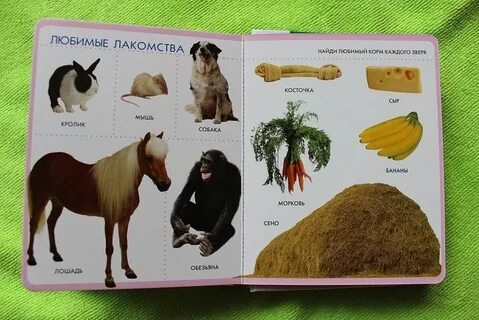 Твоя первая книга