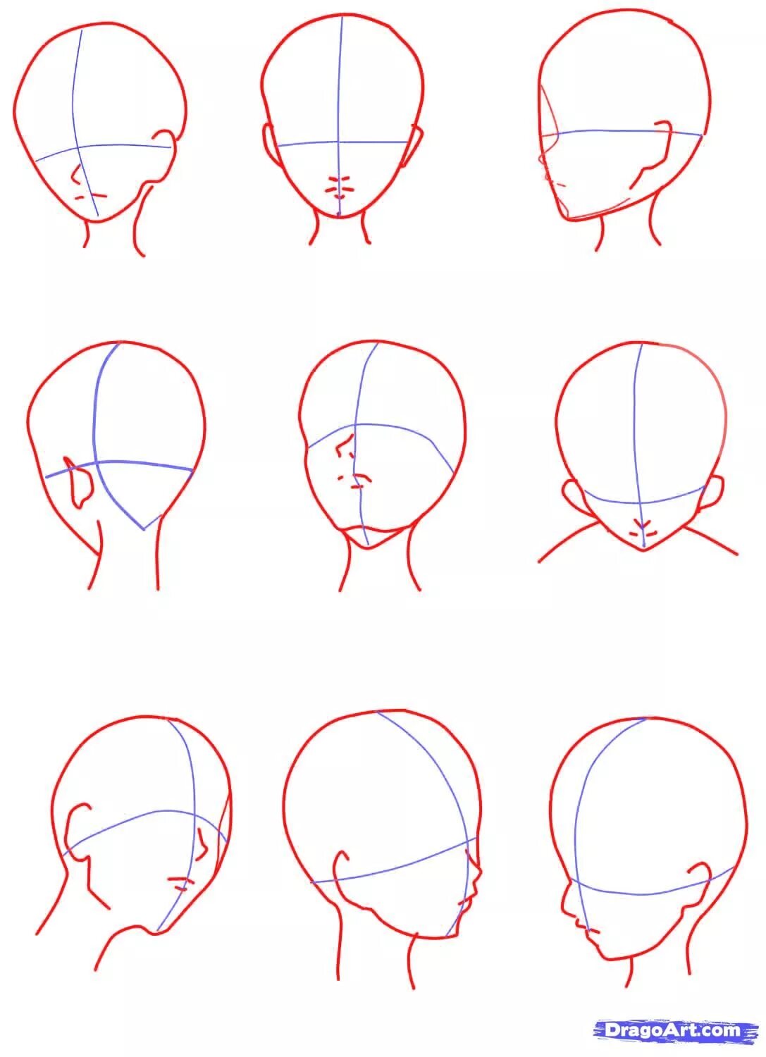 Форма головы для рисования. Рисование головы. Поэтапное рисование головы.