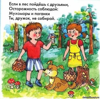 Не ходи по лесу один
