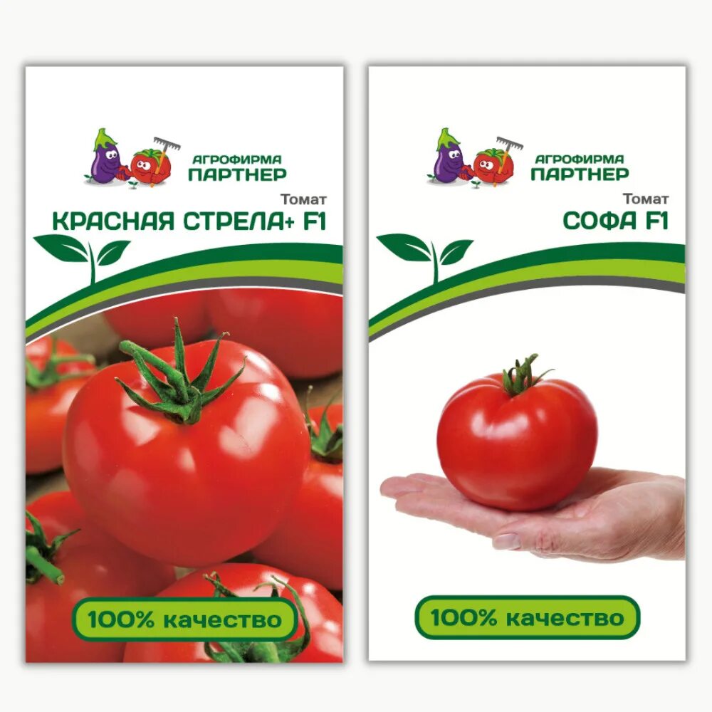Томат сорта софа f1. Томат софа партнер. Семена партнёр софа f1. Агрофирма партнер томаты софа. Томат 6 пунто.