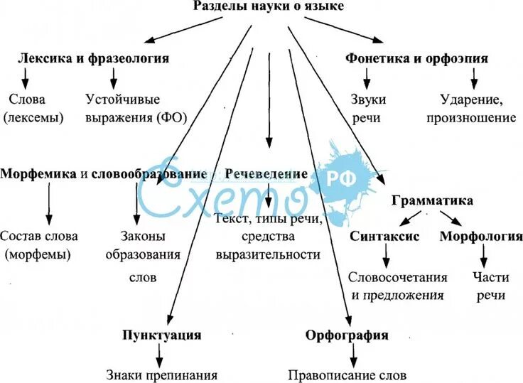 На начало Блог Трошина