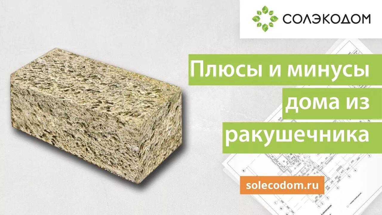 Минус stone. Ракушечник камень для строительства дома. Дом из ракушняка плюсы и минусы. Дом из ракушечника. Ракушечник для строительства дома плюсы и минусы.