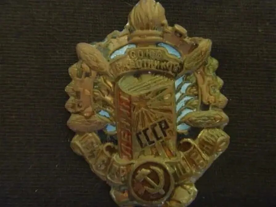 Союз работников просвещения. Союз работников просвещения. Значок ву. Союз работников. Союз работников просвещения.