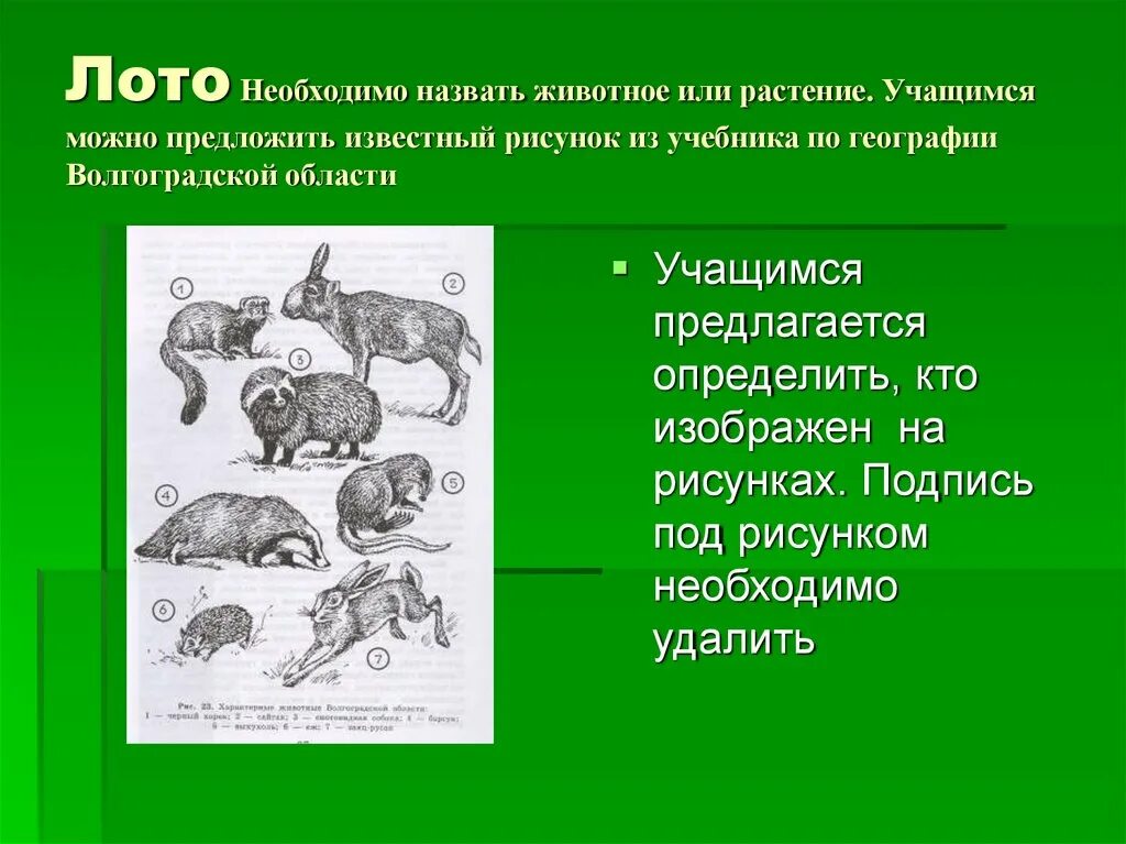 Назовите животное тест. Животные которыми можно назвать человека. Кого больше растений или животных. Животные Волгоградской области картинки и подписи. Животные можно обозвать человека.