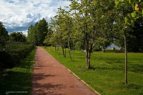 Аллеи петрозаводска