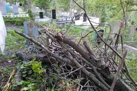 Автобус на морское кладбище во владивостоке