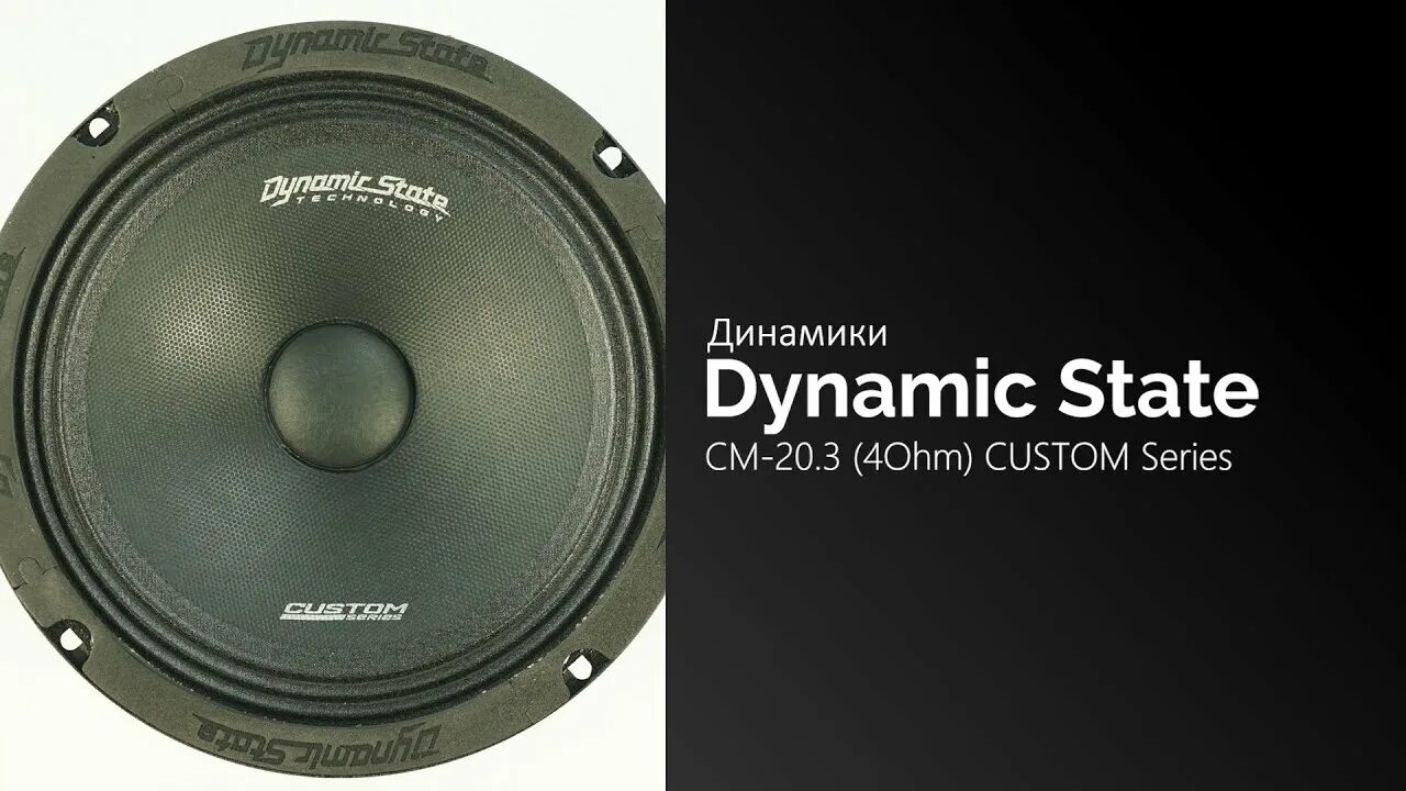 Динамики state. Dynamic state pm-165.3 pro series. dynamic state pm-165.3. dynamic state pm-165.1 pro series. динамик стейт кастом 20.
