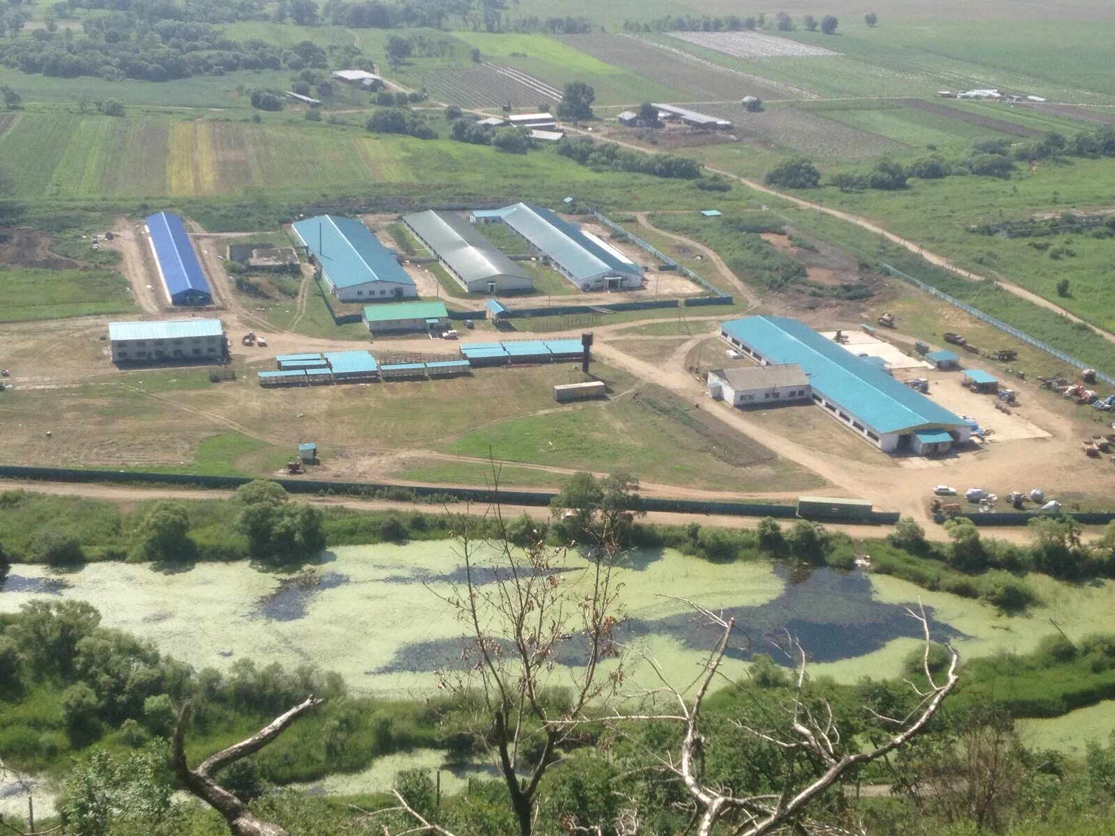 Партизанская операция концерт. Новая сила партизанский. Новая сила партизанский. Партизанское движение на смоленщине в 1941 1943 г. Заброшенный свинокомплекс.