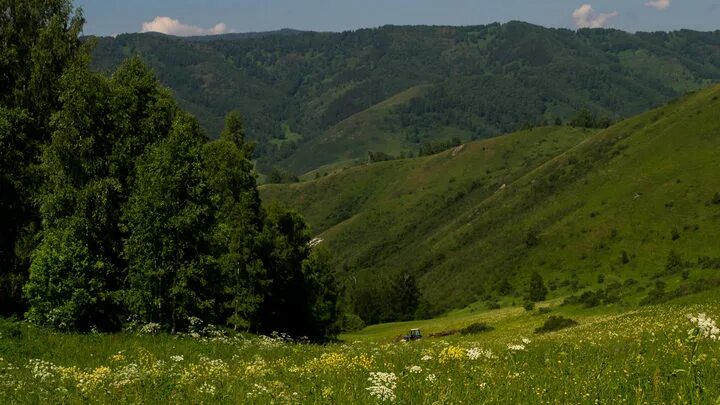 Предгорье сайт смоленского. Алтайский край предгорье. Парк предгорье Алтая. Село Алтайское предгорье. Природный парк предгорье Алтая фото.