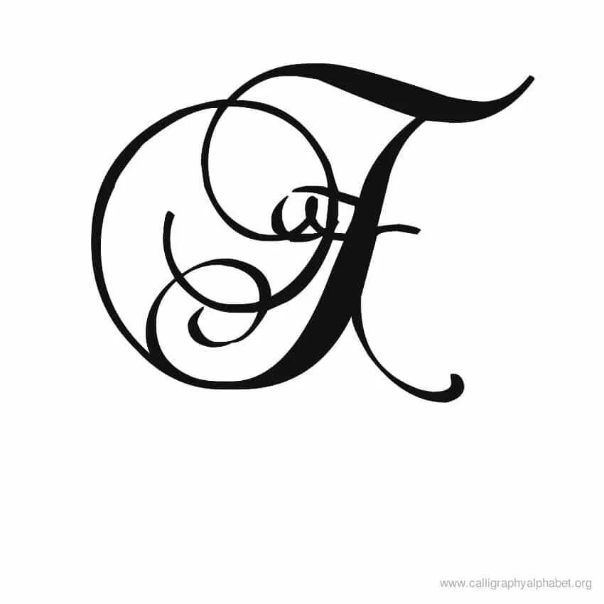 Вензель буквы ф. Каллиграфическая буква f. Ф красиво написано. Красивая буква ф прописная. Каллиграфическая буква f.