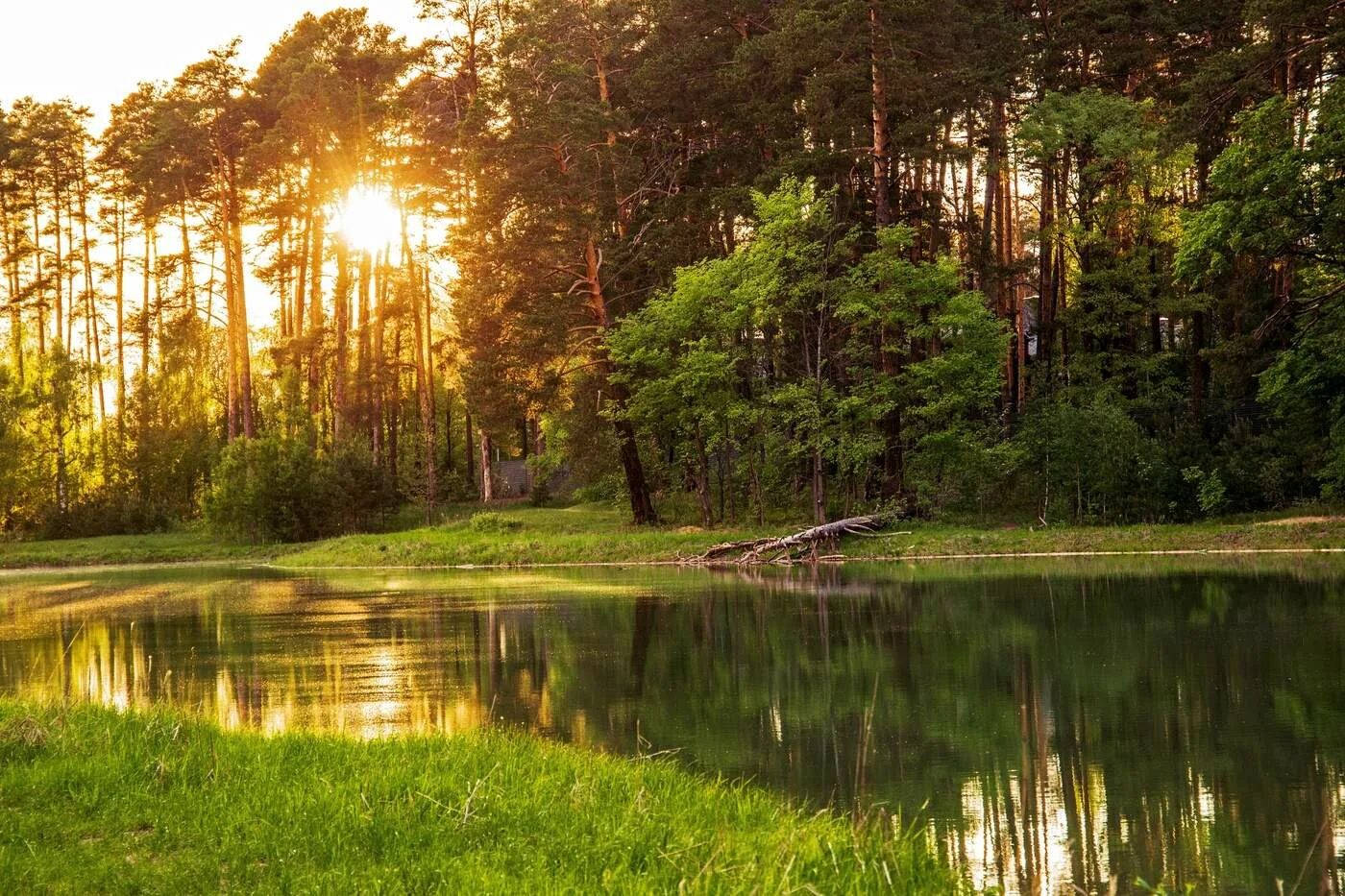 Озеро светлое ергаки. Озеро лето светлое. Ергаки светлое ергаки озеро. Озеро светлое удмуртия. Озеро светлое удмуртия.