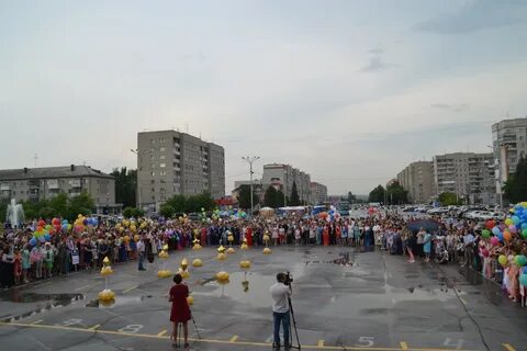 Главный бердск