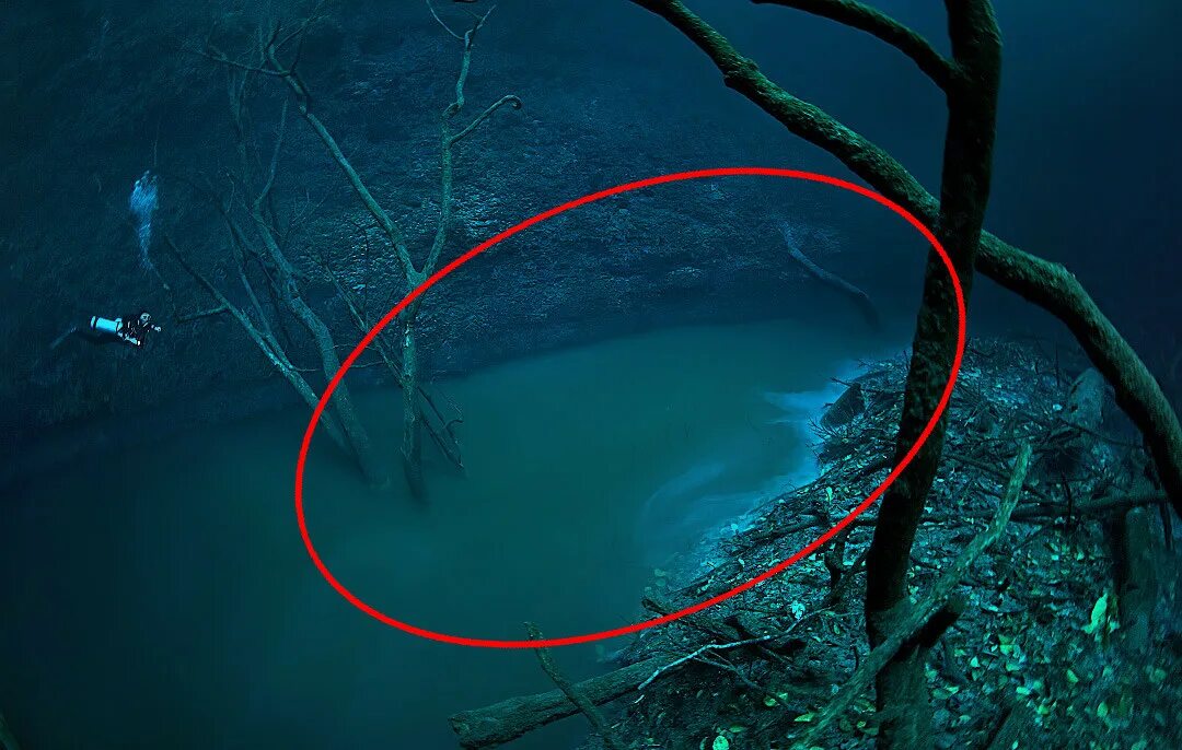Фонтан водоворот харибда великобритания. Где вода течет под водой. Где вода течет под водой. Черное море под водой. Озеро сенот ангелита в мексике.