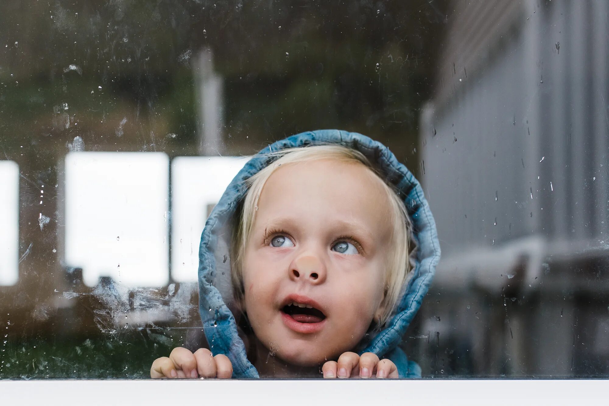 I see at the window. I see at the window