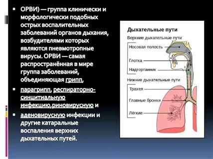 Воспаление дыхательных путей у ребенка