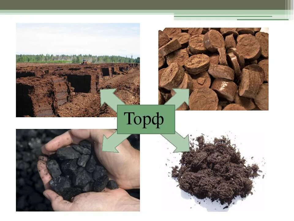 Торф горючее ископаемое. Торф. Торф это для детей. Торфяные разработки. Полезные ископаемые торф.