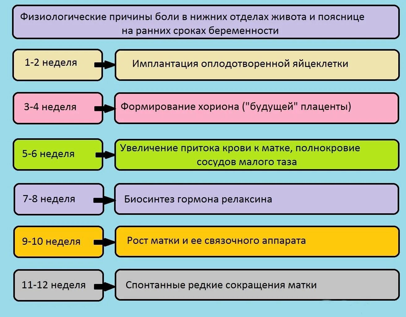 Тянет поясницу на раннем