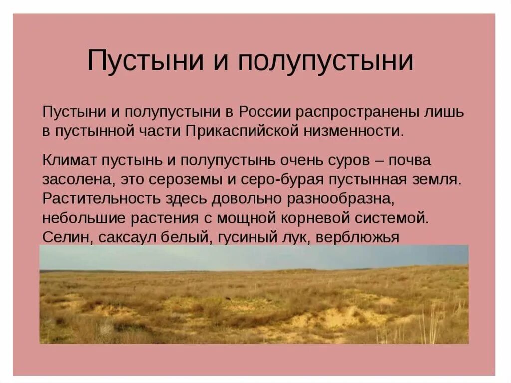 Полупустыни характеристика природной зоны россии