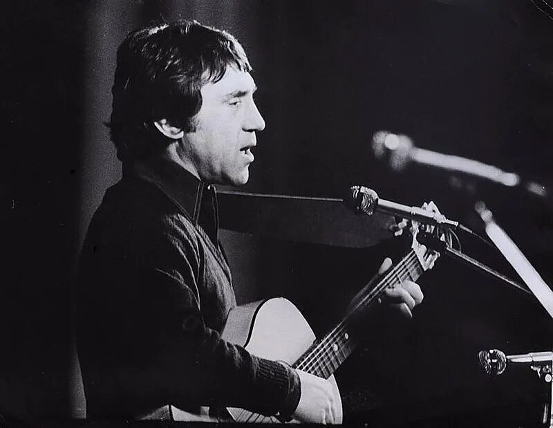 Высоцкий владимир семёнович. Владимир высоцкий писатель. Группа владимир высоцкий. Высоцкие. Высоцкие.