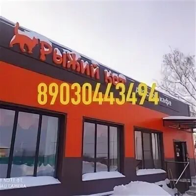 Криуша нижегородская область дальнеконстантиновский. Дальнее константиново 5 нижегородская область школа. Найдена рыжая кошка люберцы. Русская быль константиново меню. Рыжий кот дальнее константиново.