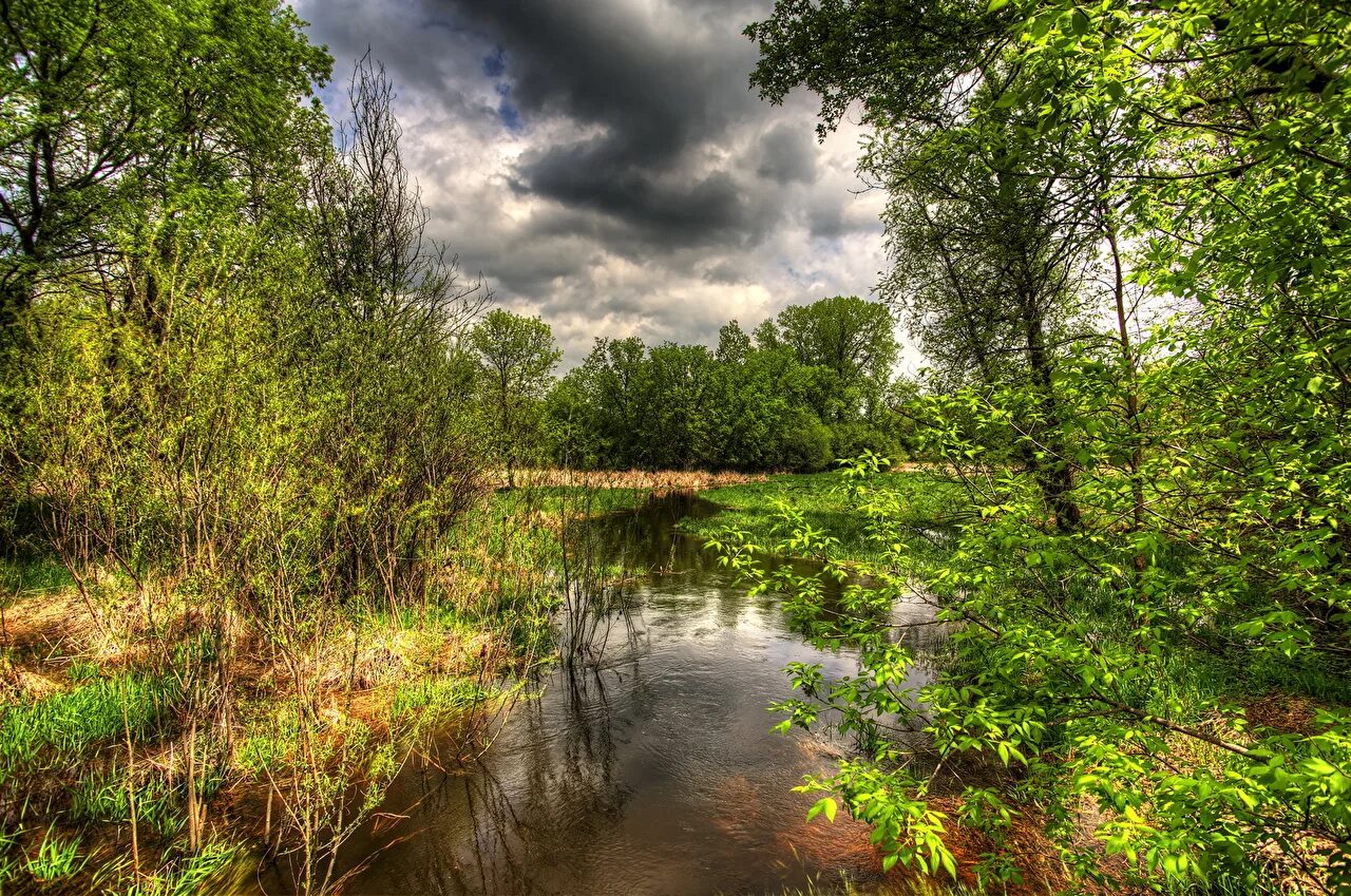 Река убин. Ручей горная речка урал. Река под лесом. Хвойные таежные леса карелии. На речке.