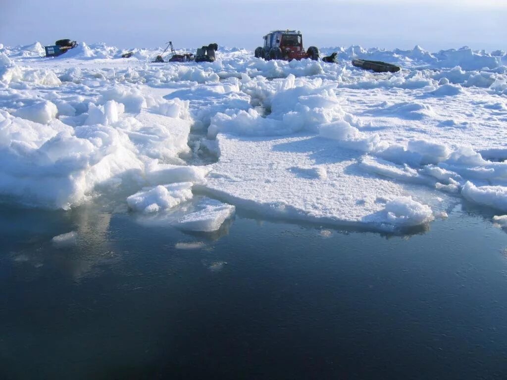 таяние арктики. северный ледовитый океан паковый лед. арктика. какой лед в арктике. какой лед в арктике.