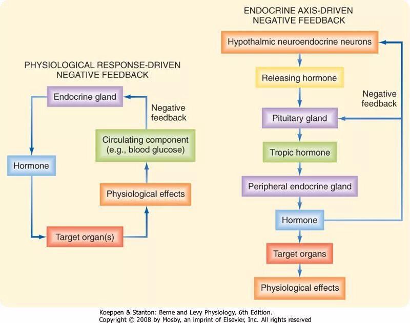 Physiological response