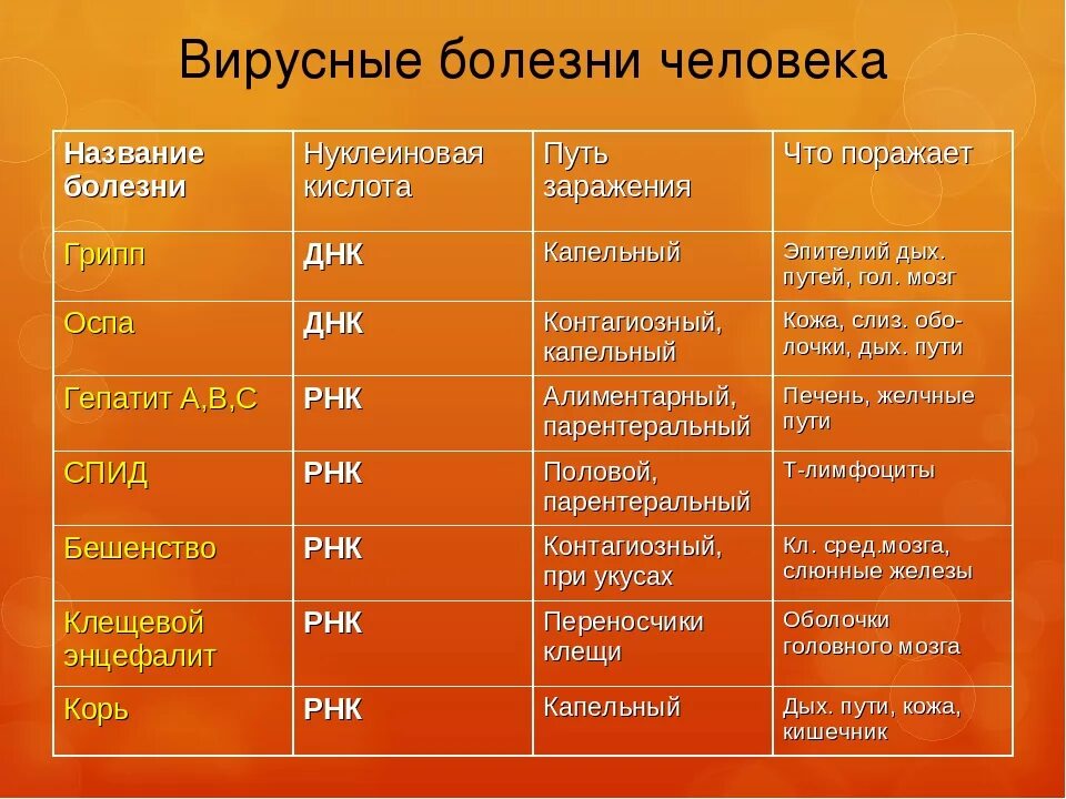 Описать вирусные заболевания. Вирусы и их заболевания таблица. Вирусные заболевания человека. Название вирусных заболеваний. Болезни человека вызываемые вирусами таблица.