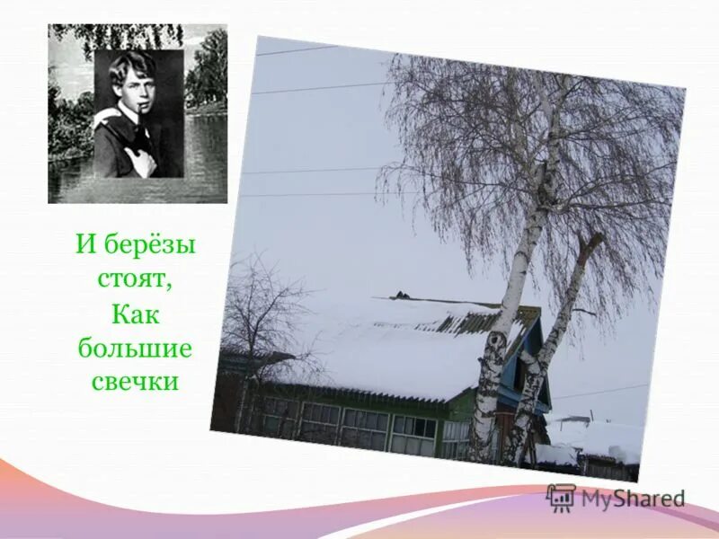 березы стоят как большие свечки. стихотворение есенина вот уж вечер роса. хорошо и тепло как зимой у печки и берёзы. березы стоят как большие свечки. березы стоят как большие свечки.