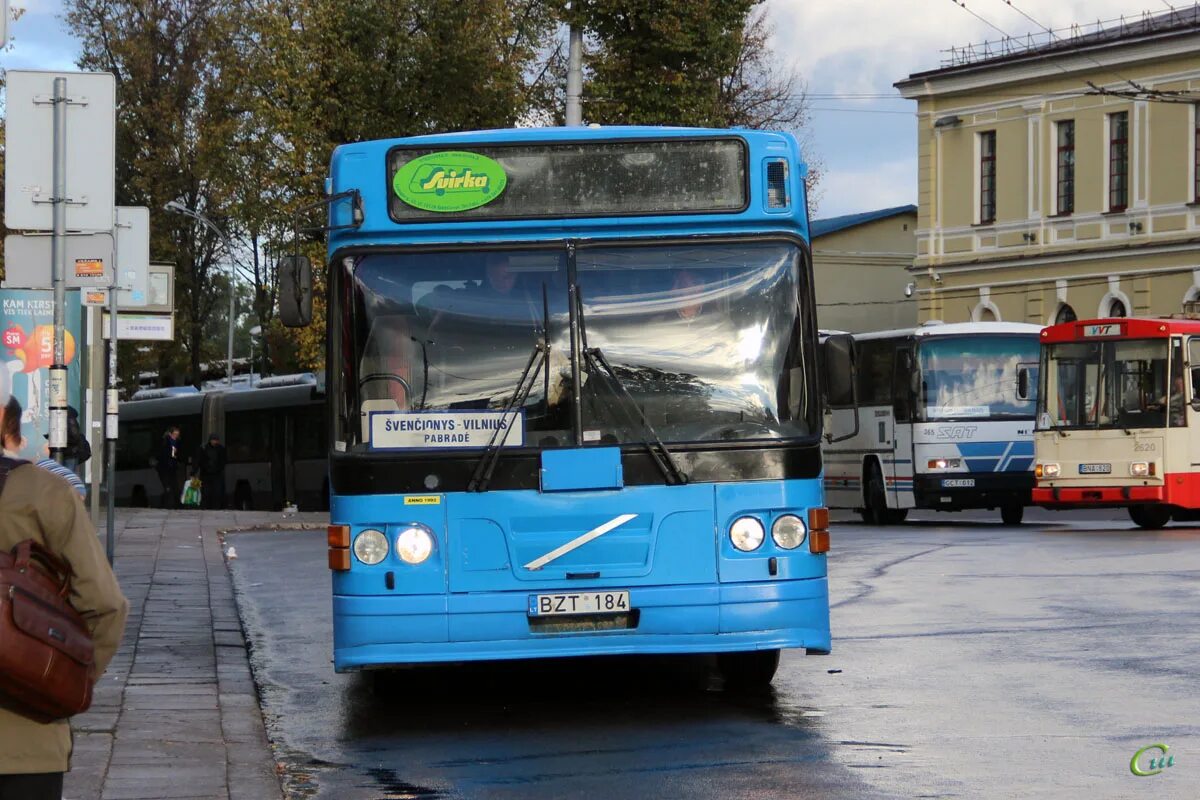 Санкт петербург вильнюс автобус. Транспорт. автобусы 2000 годов. 184 автобус. троллейбус хороший транспорт.