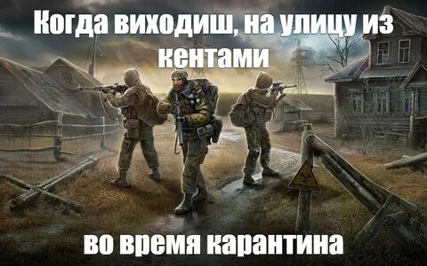 Сталкер мемы